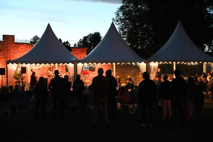 Public dans la cour du château en fin de soirée écoutant le chanteur